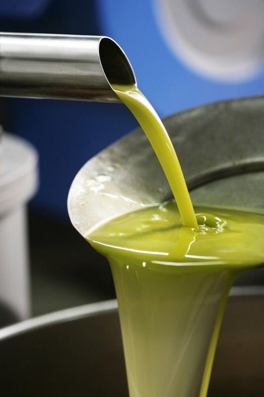 Olive pressing from hand to bottle :