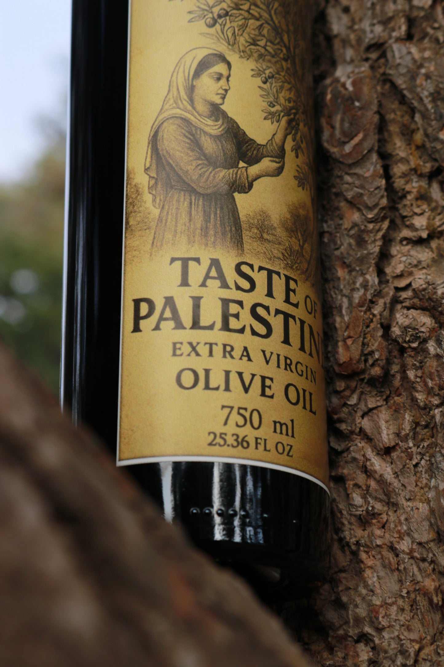 Extra virgin olive oil