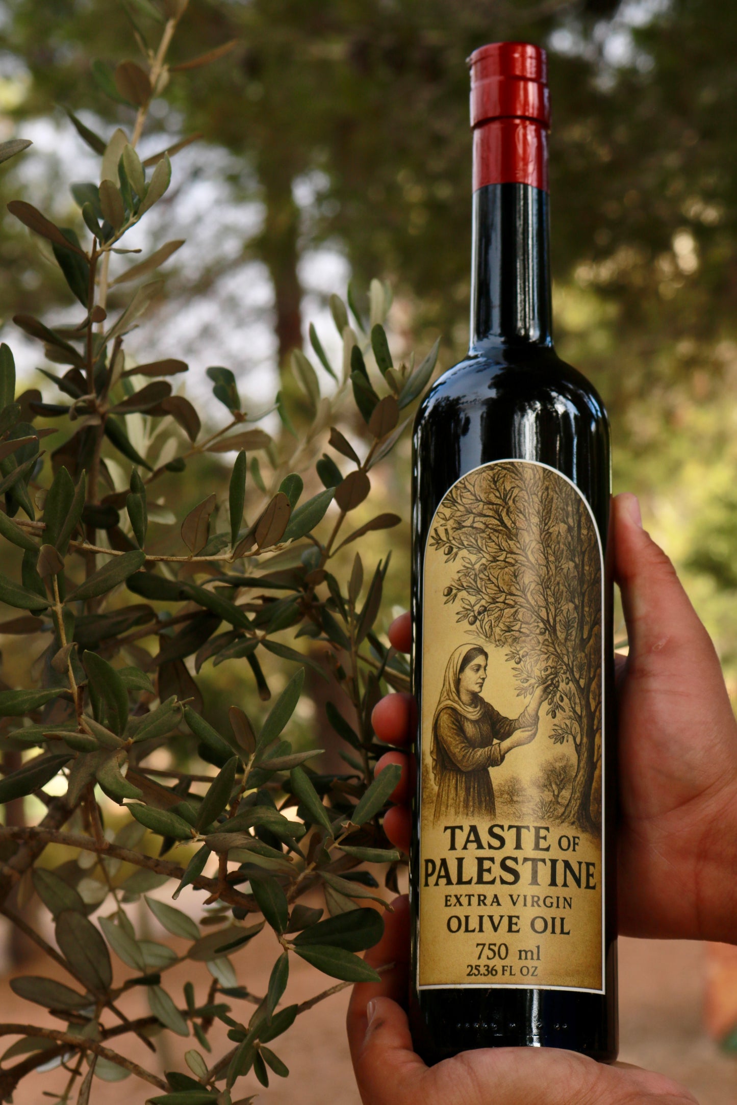 Extra virgin olive oil